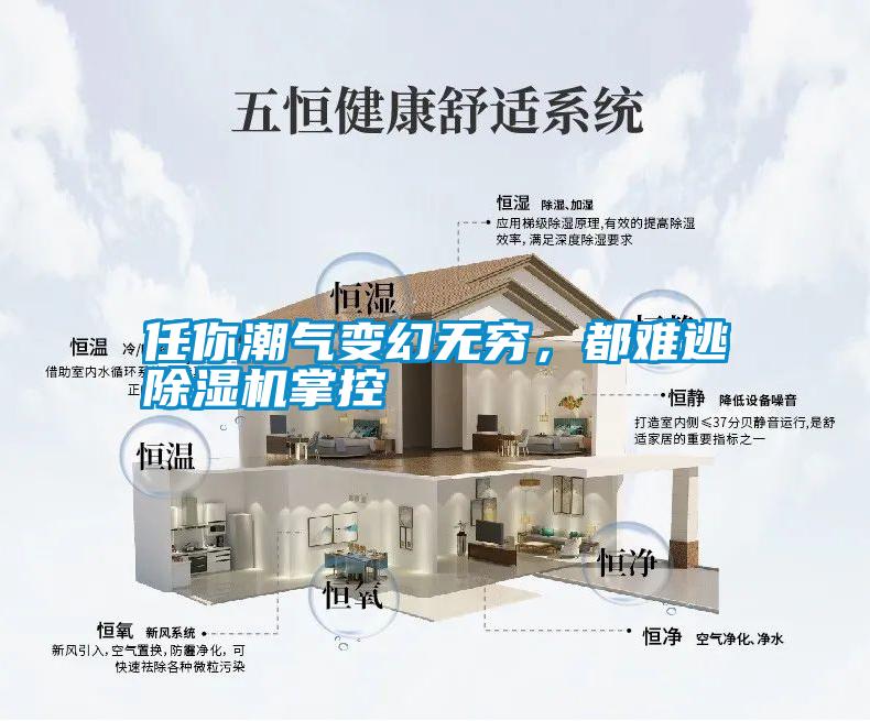 任你潮氣變幻無窮，都難逃除濕機掌控