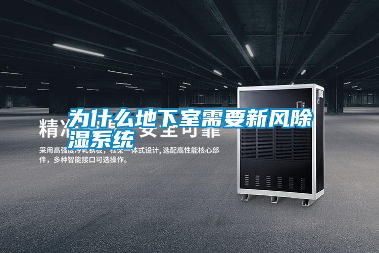 為什么地下室需要新風除濕系統(tǒng)