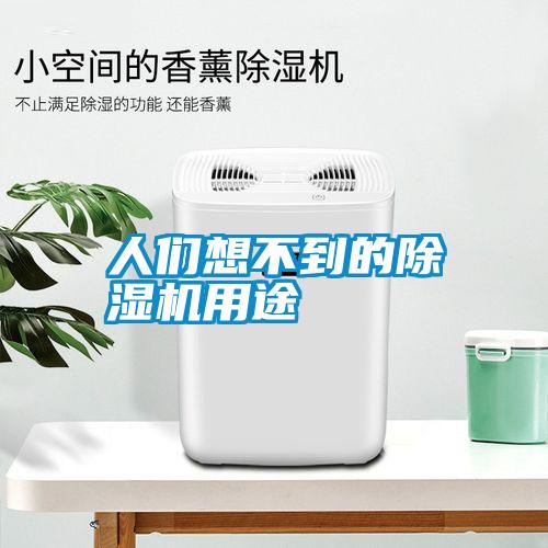 人們想不到的除濕機(jī)用途