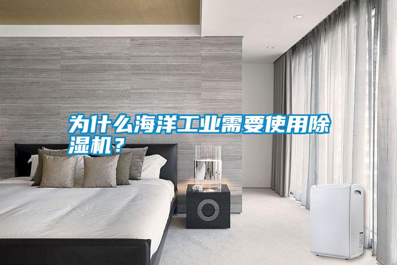 為什么海洋工業(yè)需要使用除濕機(jī)？