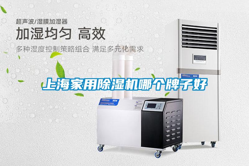 上海家用除濕機(jī)哪個(gè)牌子好