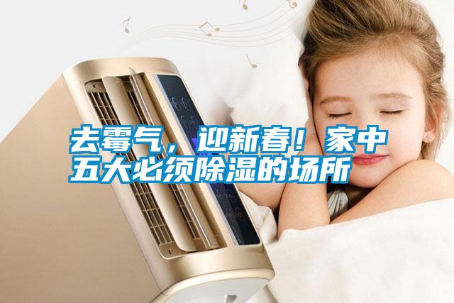 去霉氣，迎新春！家中五大必須除濕的場(chǎng)所