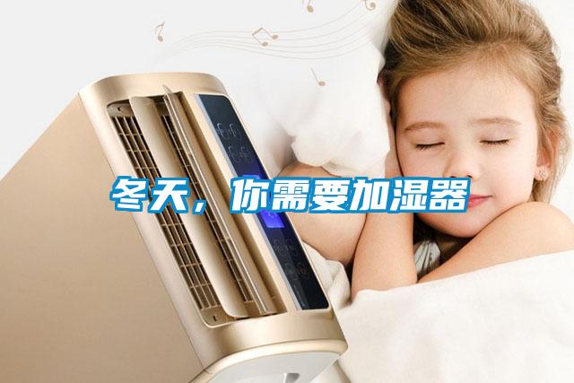 冬天，你需要加濕器