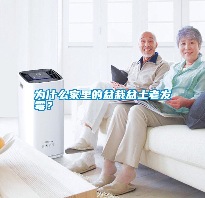 為什么家里的盆栽盆土老發(fā)霉？
