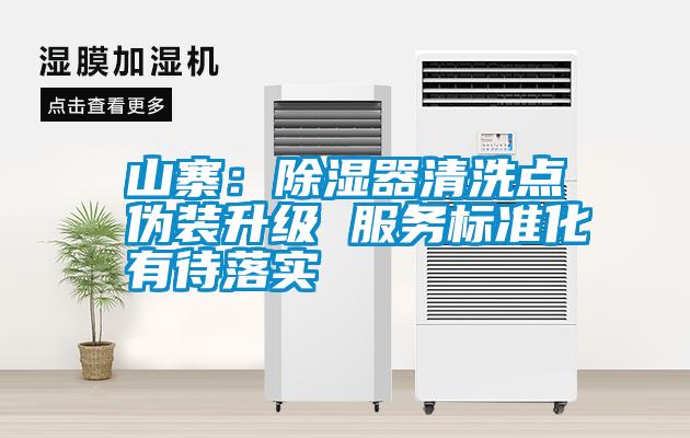 山寨：除濕器清洗點偽裝升級 服務標準化有待落實