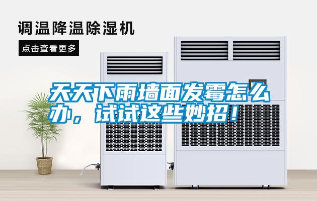 天天下雨墻面發(fā)霉怎么辦，試試這些妙招！