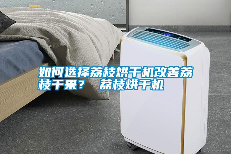 如何選擇荔枝烘干機(jī)改善荔枝干果？ 荔枝烘干機(jī)