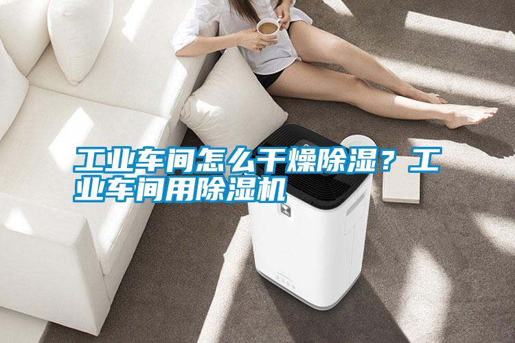 工業(yè)車間怎么干燥除濕？工業(yè)車間用除濕機
