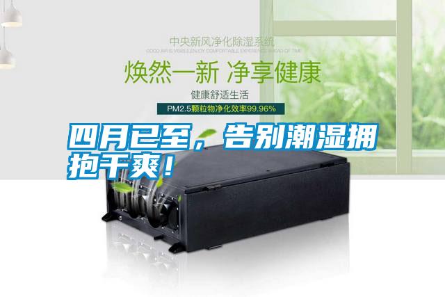 四月已至，告別潮濕擁抱干爽！