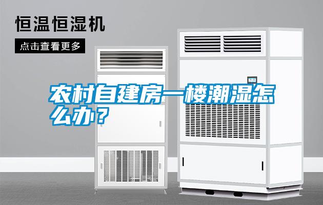 農(nóng)村自建房一樓潮濕怎么辦？