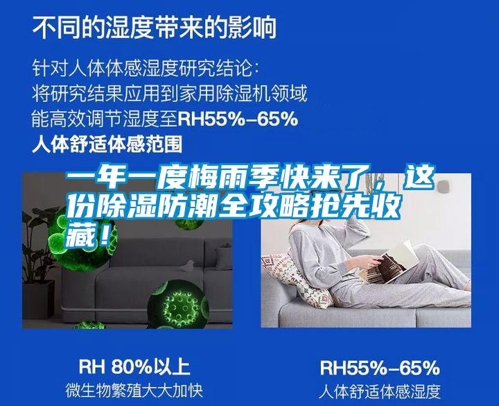 一年一度梅雨季快來了，這份除濕防潮全攻略搶先收藏！