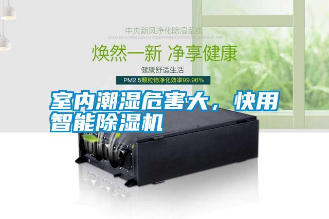 室內(nèi)潮濕危害大，快用智能除濕機