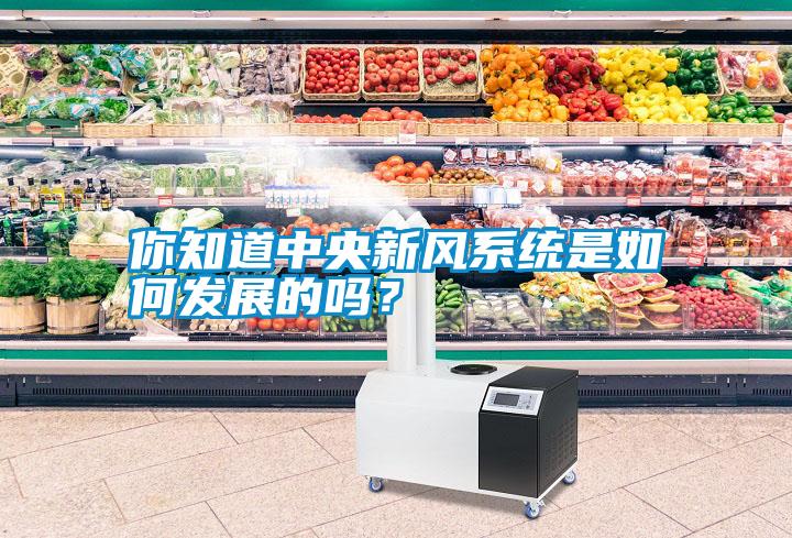你知道中央新風系統(tǒng)是如何發(fā)展的嗎？