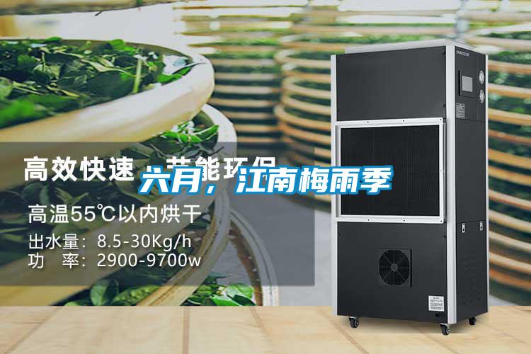 六月，江南梅雨季