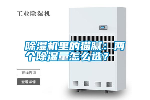 除濕機(jī)里的貓膩：兩個除濕量怎么選？