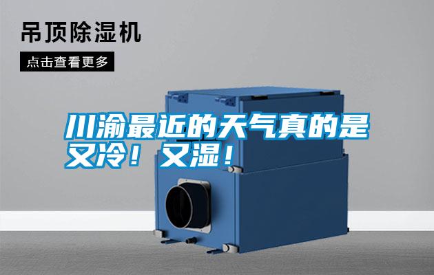 川渝最近的天氣真的是又冷！又濕！