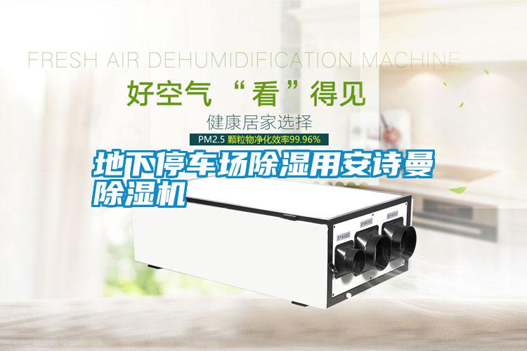 地下停車(chē)場(chǎng)除濕用安詩(shī)曼除濕機(jī)