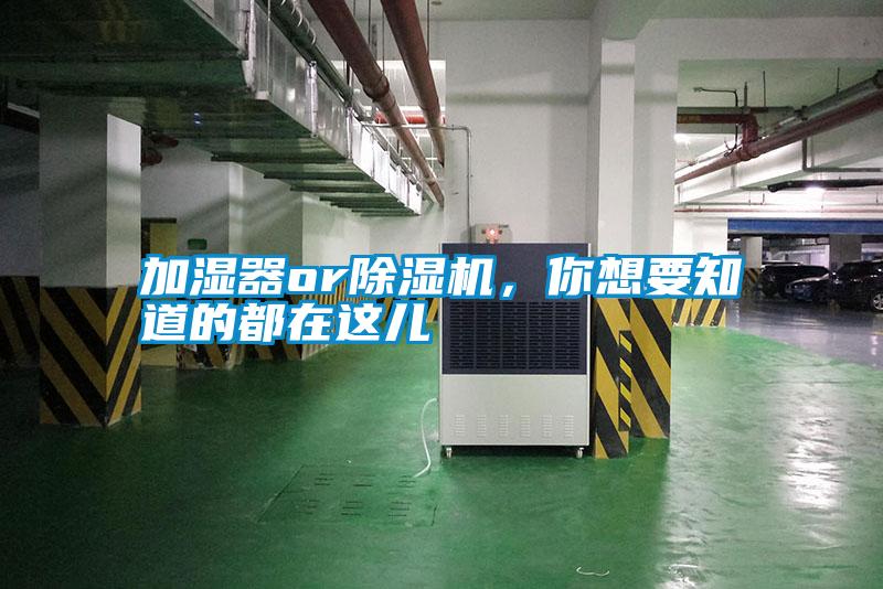 加濕器or除濕機(jī)，你想要知道的都在這兒