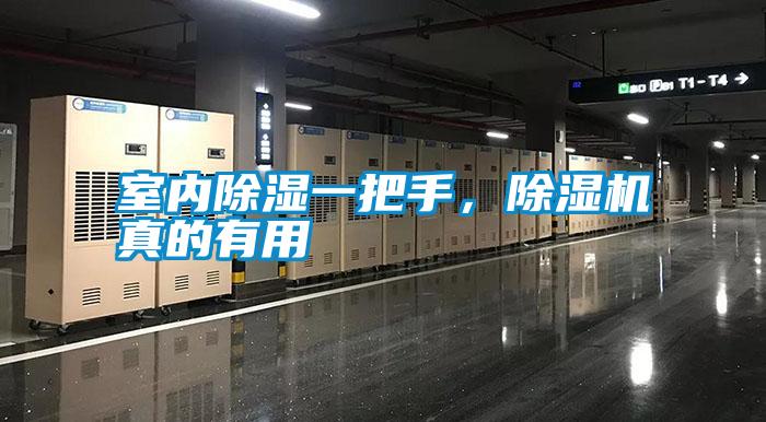 室內(nèi)除濕一把手，除濕機(jī)真的有用
