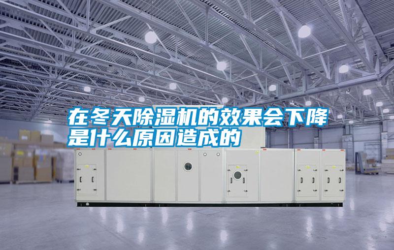 在冬天除濕機(jī)的效果會(huì)下降是什么原因造成的