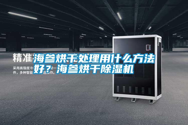 海參烘干處理用什么方法好？海參烘干除濕機
