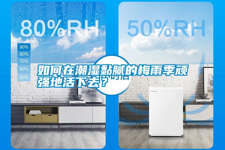 如何在潮濕黏膩的梅雨季頑強(qiáng)地活下去？