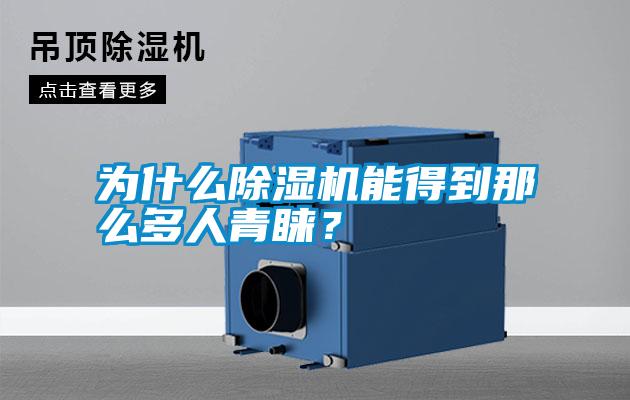 為什么除濕機(jī)能得到那么多人青睞？