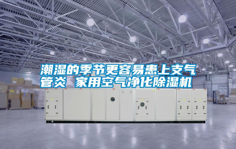 潮濕的季節(jié)更容易患上支氣管炎 家用空氣凈化除濕機