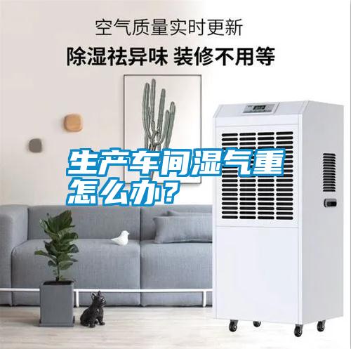 生產(chǎn)車間濕氣重怎么辦？
