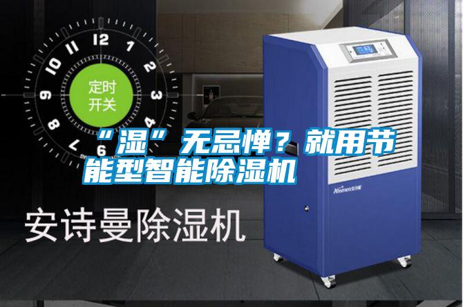 “濕”無忌憚？就用節(jié)能型智能除濕機
