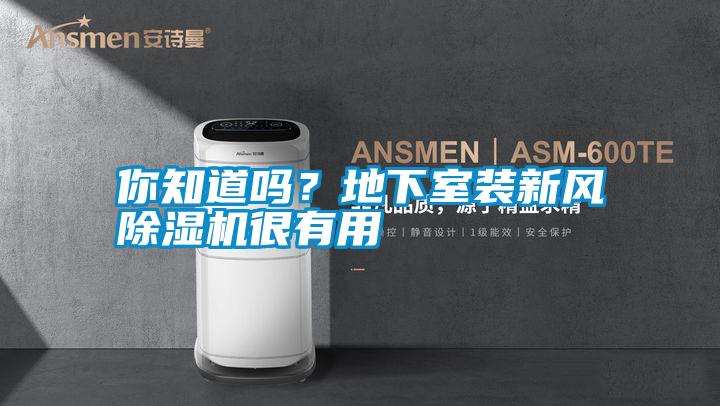 你知道嗎？地下室裝新風(fēng)除濕機很有用