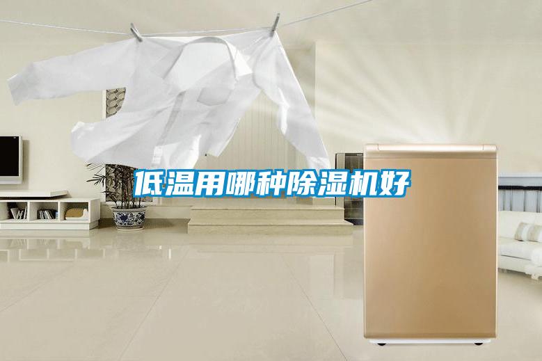 低溫用哪種除濕機(jī)好