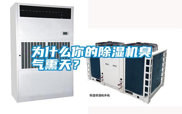 為什么你的除濕機(jī)臭氣熏天？