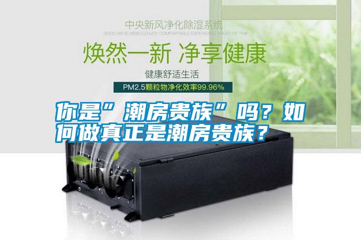 你是”潮房貴族”嗎？如何做真正是潮房貴族？