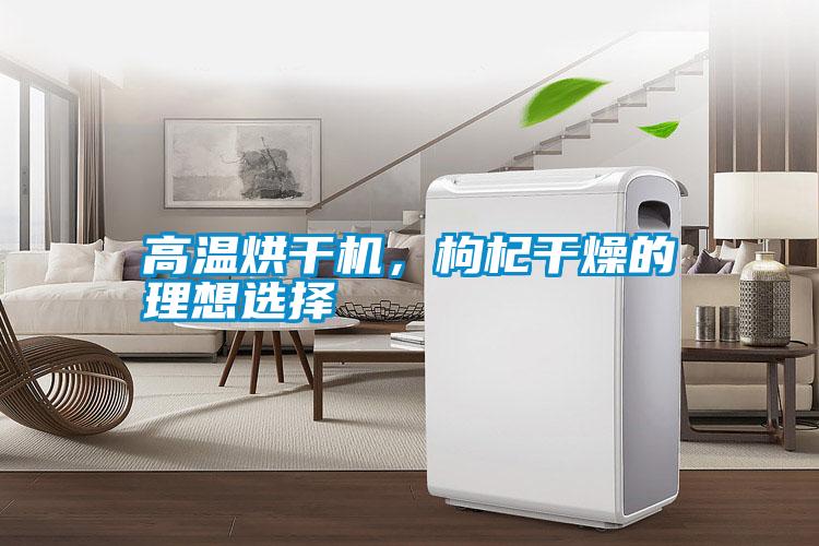 高溫烘干機，枸杞干燥的理想選擇