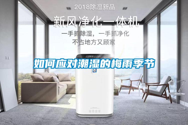如何應(yīng)對潮濕的梅雨季節(jié)