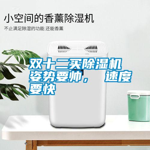 雙十二買除濕機(jī)姿勢(shì)要帥， 速度要快
