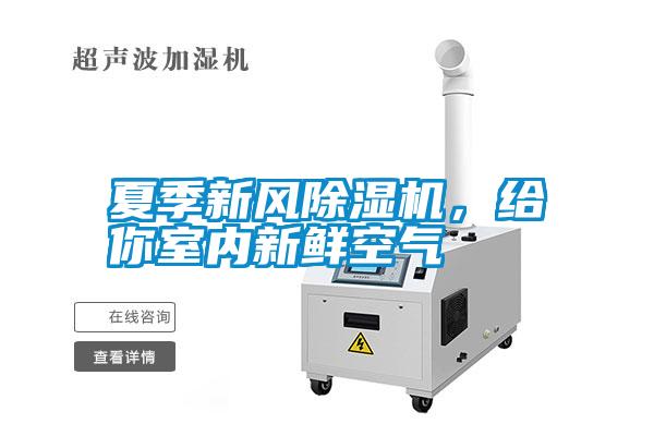 夏季新風(fēng)除濕機(jī)，給你室內(nèi)新鮮空氣