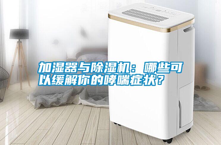 加濕器與除濕機：哪些可以緩解你的哮喘癥狀？