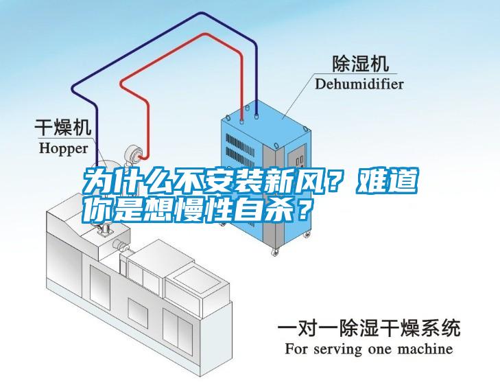 為什么不安裝新風(fēng)？難道你是想慢性自殺？