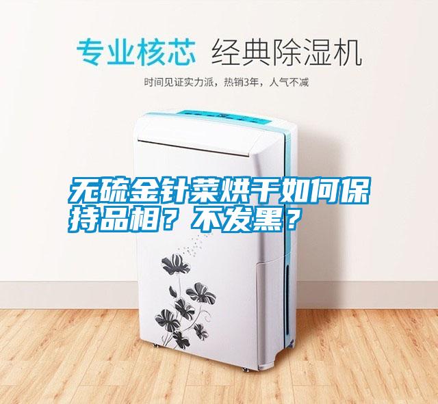 無(wú)硫金針菜烘干如何保持品相？不發(fā)黑？