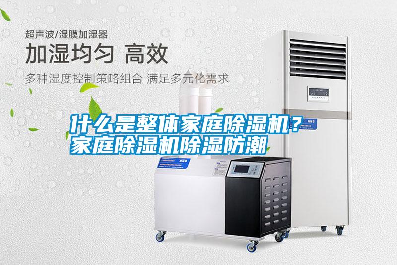 什么是整體家庭除濕機？ 家庭除濕機除濕防潮