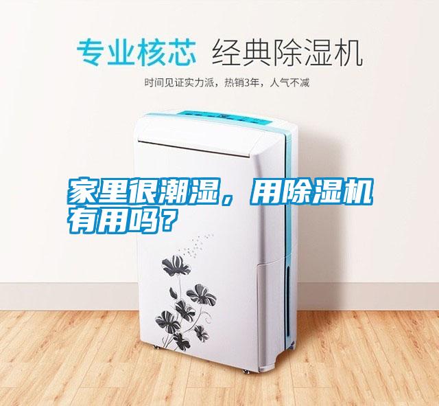 家里很潮濕，用除濕機(jī)有用嗎？