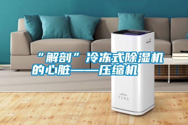 “解剖”冷凍式除濕機(jī)的心臟——壓縮機(jī)
