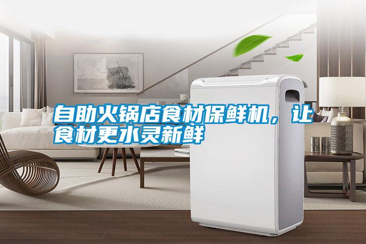 自助火鍋店食材保鮮機，讓食材更水靈新鮮