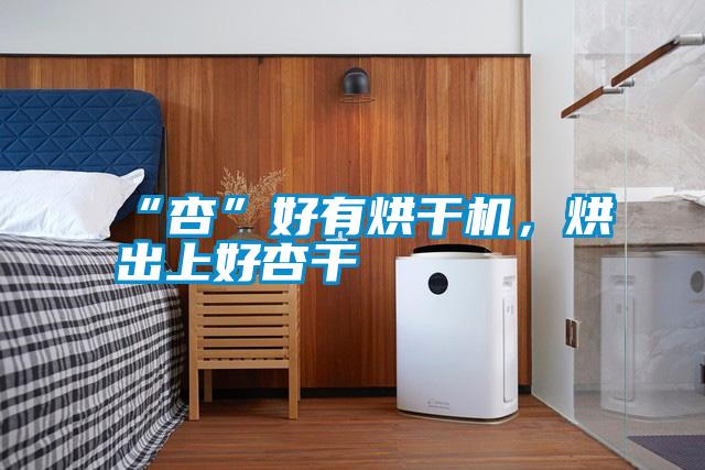 “杏”好有烘干機，烘出上好杏干