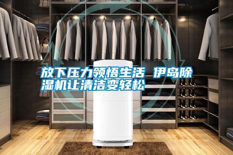 放下壓力領(lǐng)悟生活 伊島除濕機讓清潔變輕松