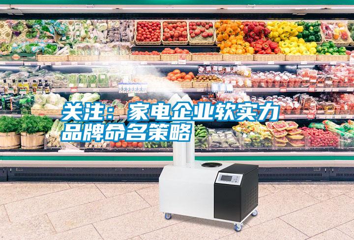關(guān)注：家電企業(yè)軟實(shí)力 品牌命名策略