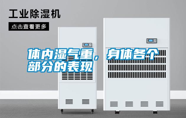 體內(nèi)濕氣重，身體各個(gè)部分的表現(xiàn)