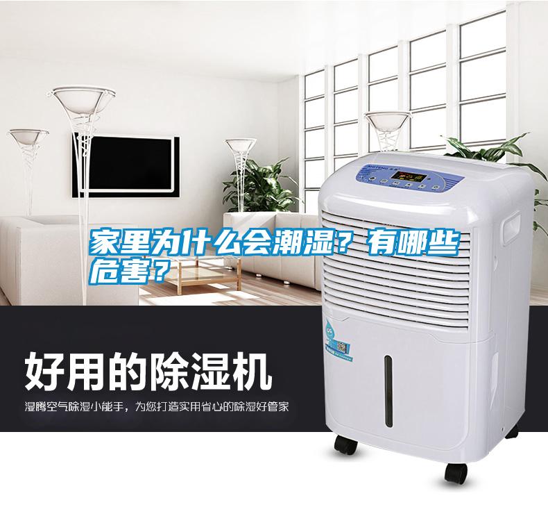 家里為什么會(huì)潮濕？有哪些危害？